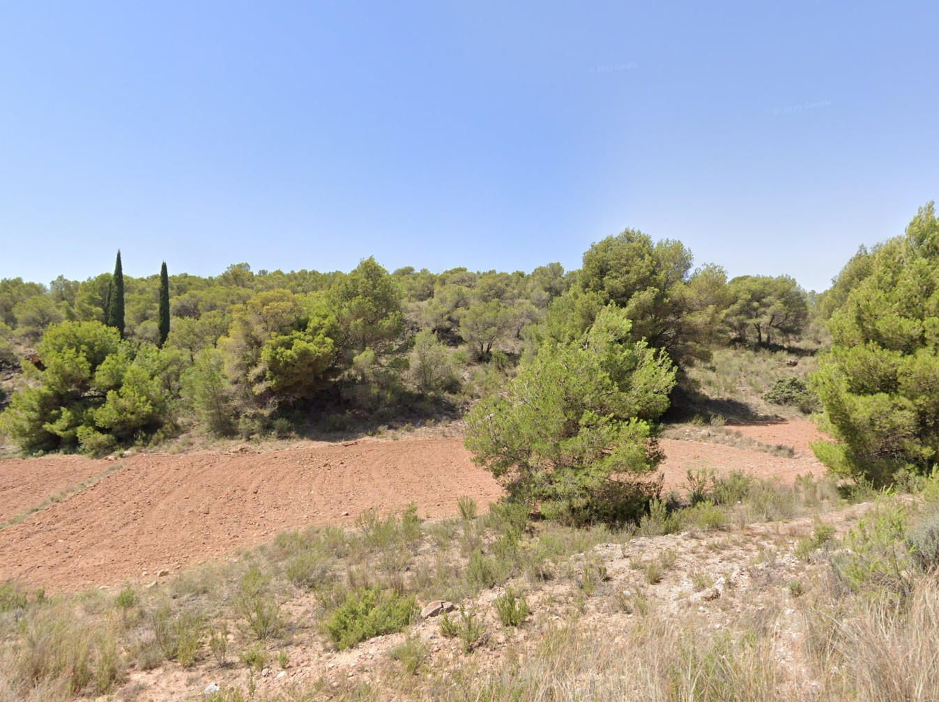 Venta 2 Parcelas en Aledo Zona de Las Alquerias - imagen 3