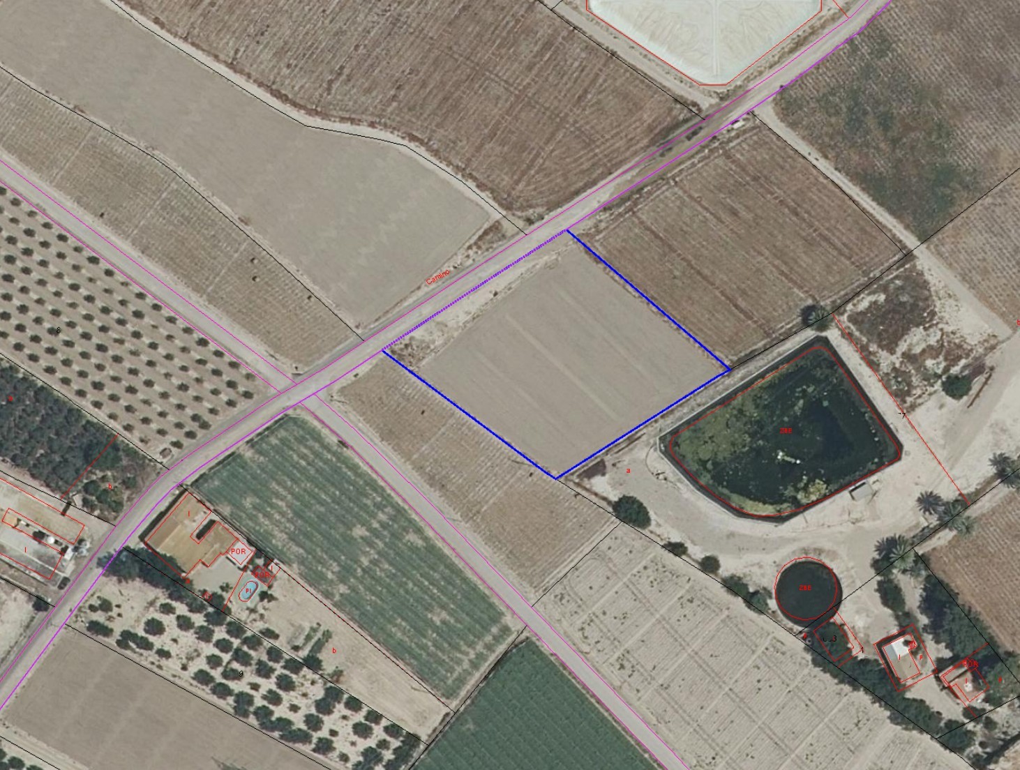 Venta de parcela rústica en La Zanja, Totana, junto a A-7 y RM-3 - imagen 4