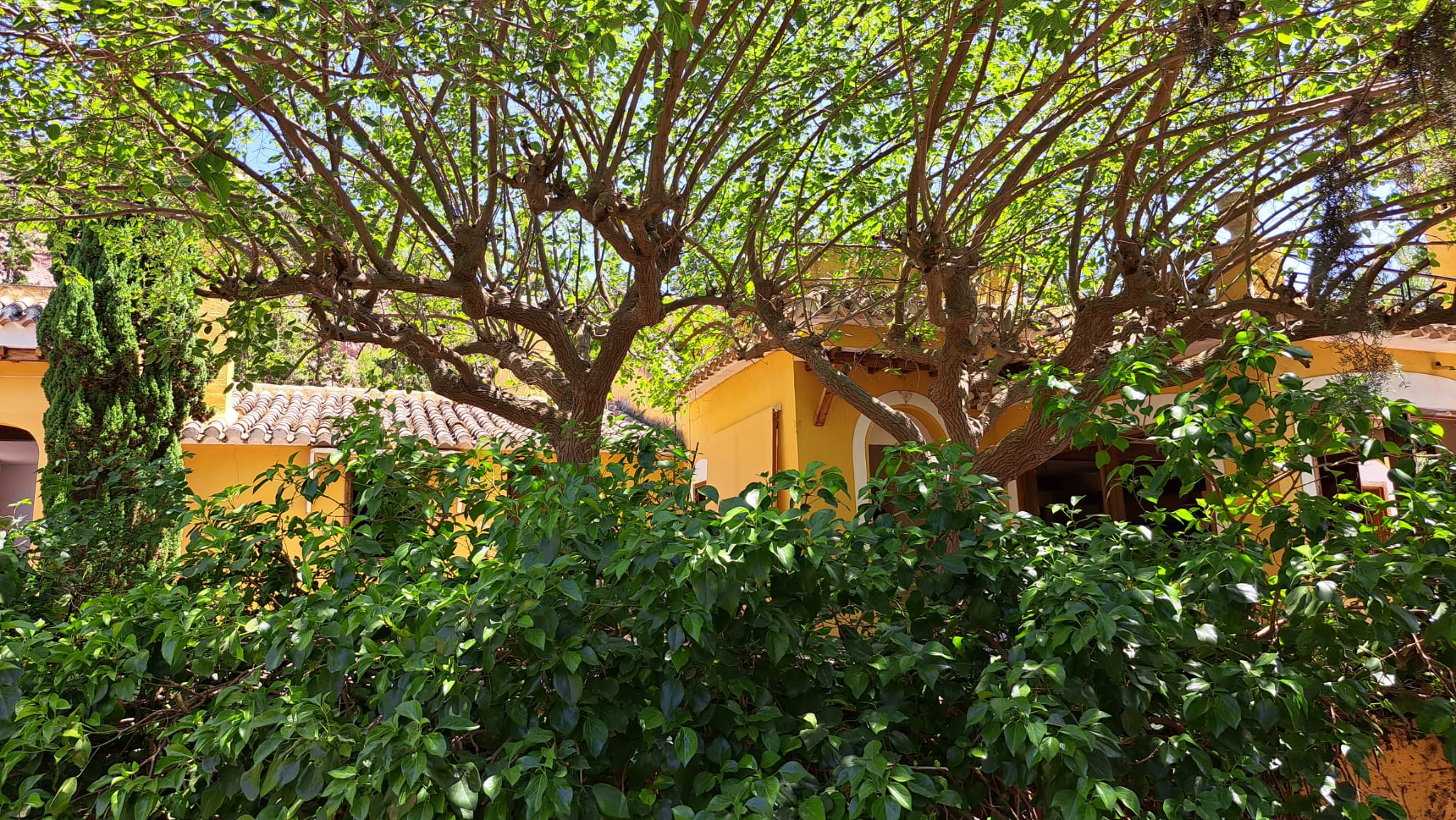 Venta Chalet en Alhama de Murcia - imagen 18