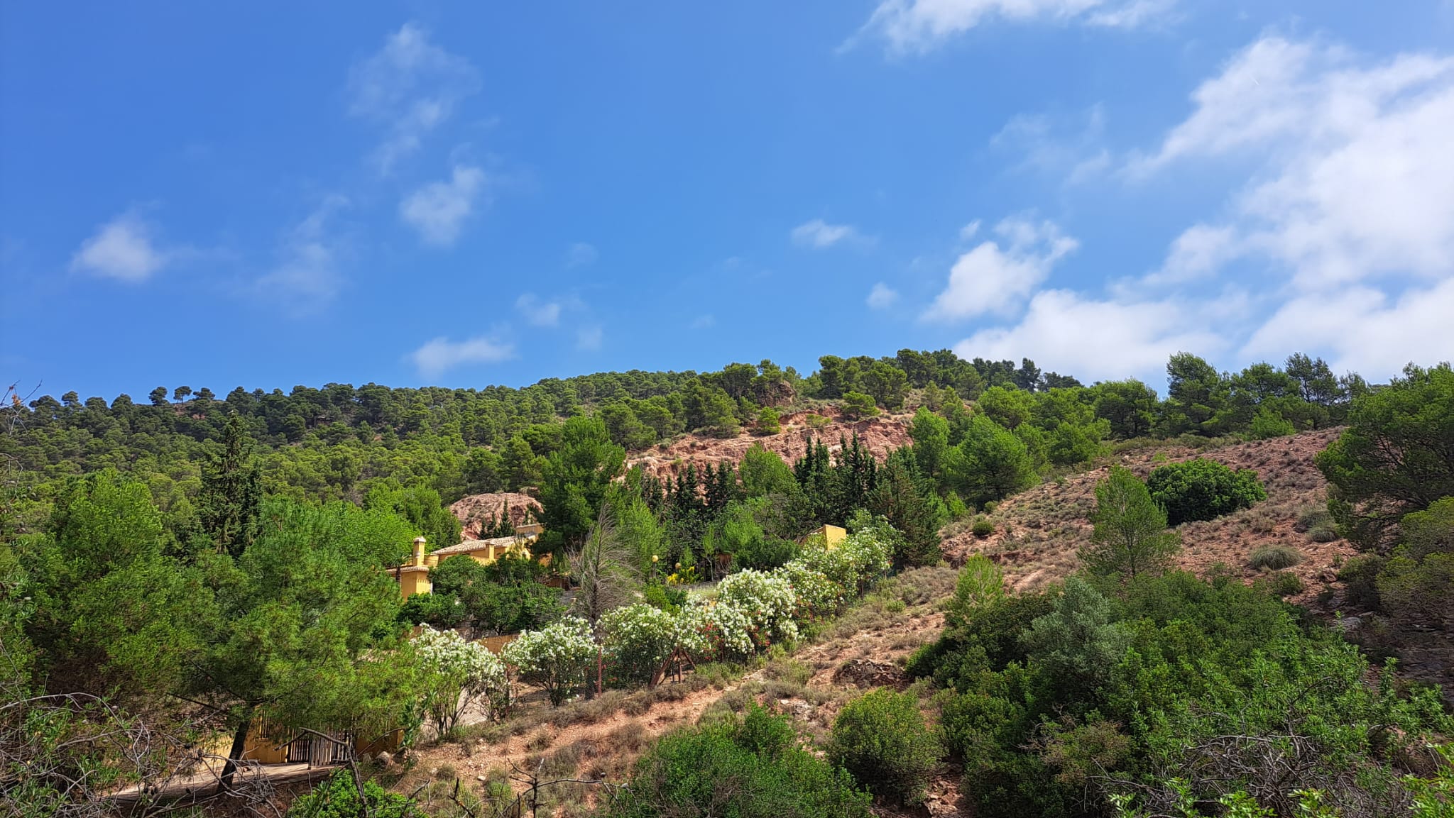 Venta Chalet en Alhama de Murcia - imagen 19