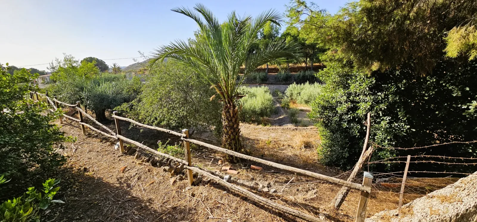 Venta Huerto (Ermita la Huerta) 4 Fincas Registrales - imagen 7