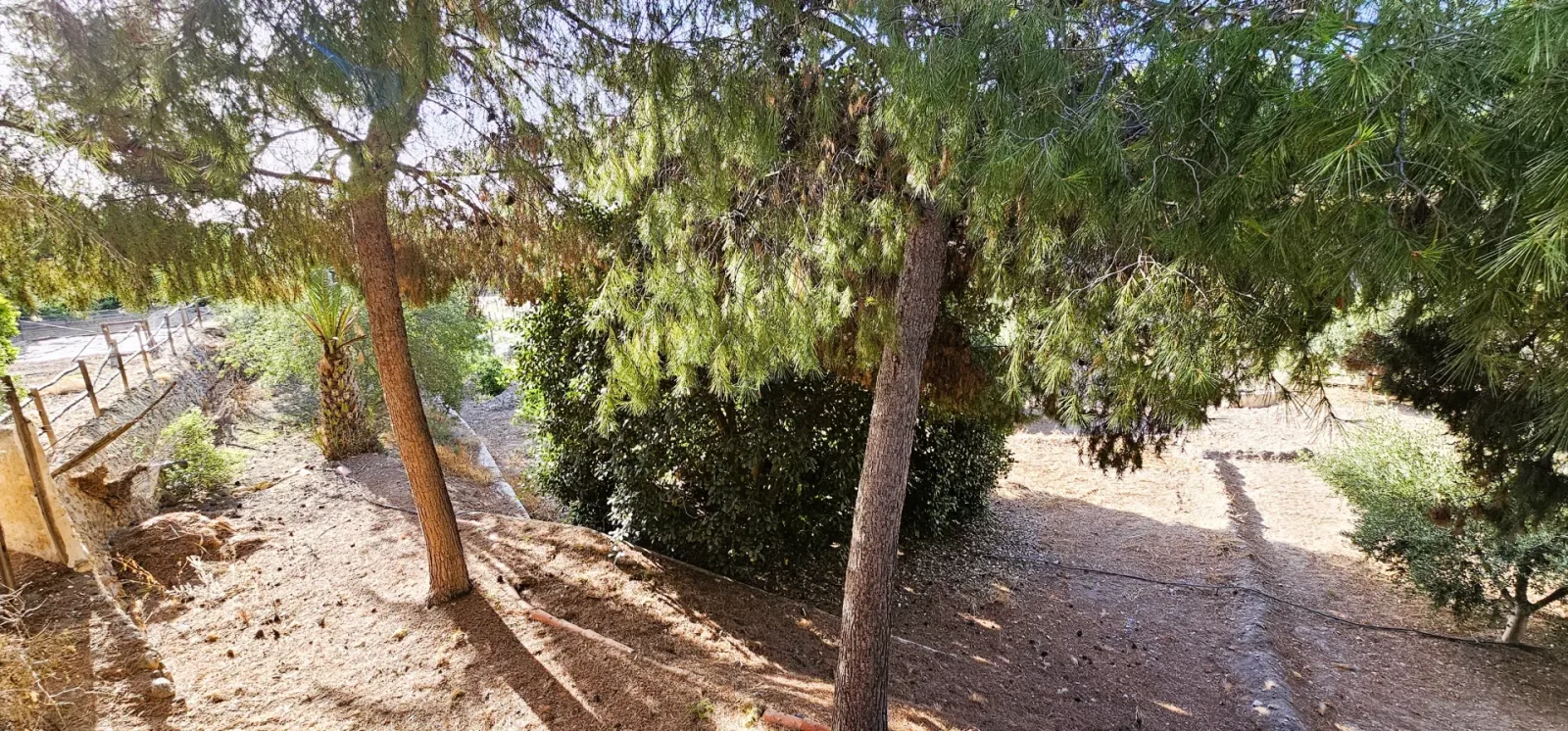 Venta Huerto (Ermita la Huerta) 4 Fincas Registrales - imagen 11