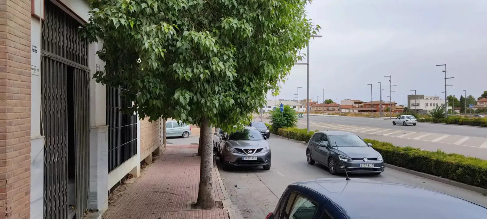 Venta Local Comercial en Avda. Juan Carlos I - imagen 6