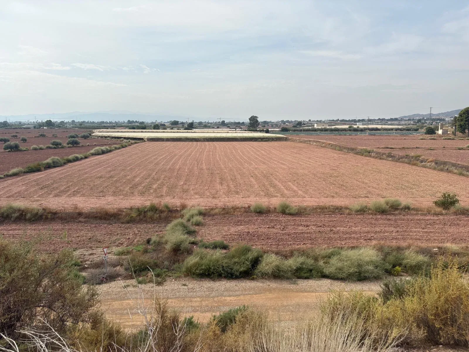 Venta 3 Parcelas Rústicas Uso Agrícola en Totana, Murcia - imagen 2