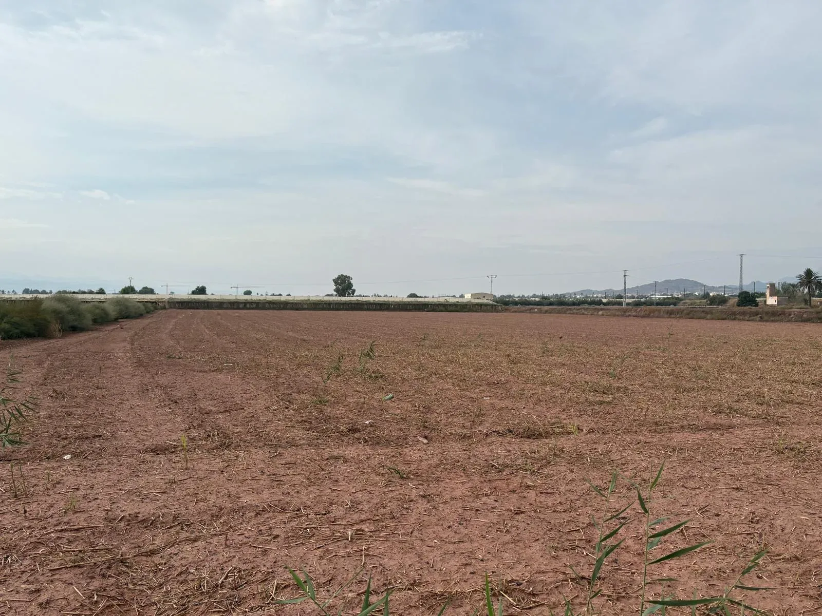 Venta 3 Parcelas Rústicas Uso Agrícola en Totana, Murcia - imagen 4