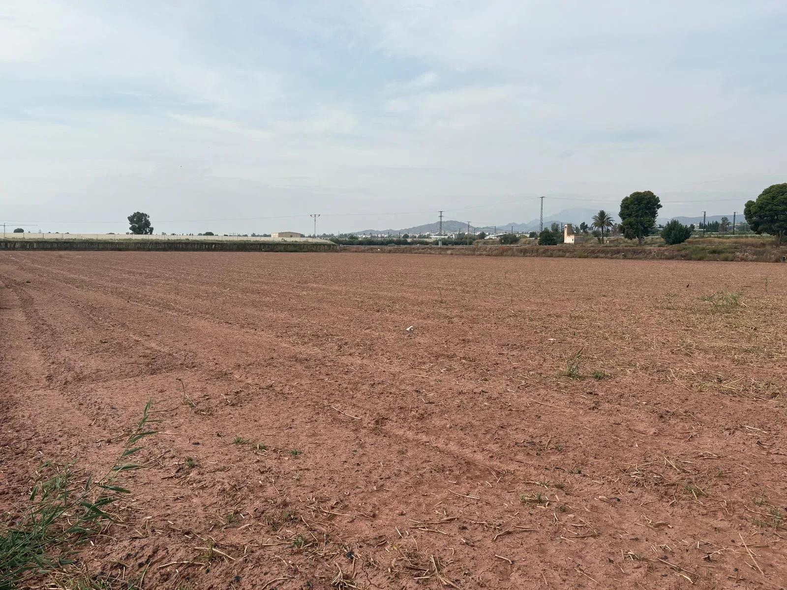 Venta 3 Parcelas Rústicas Uso Agrícola en Totana, Murcia - imagen 5
