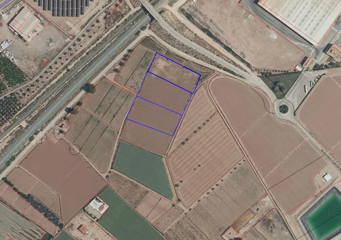 Venta 3 Parcelas Rústicas Uso Agrícola en Totana, Murcia - imagen 1