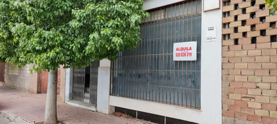 Venta Local Comercial en Avda. Juan Carlos I