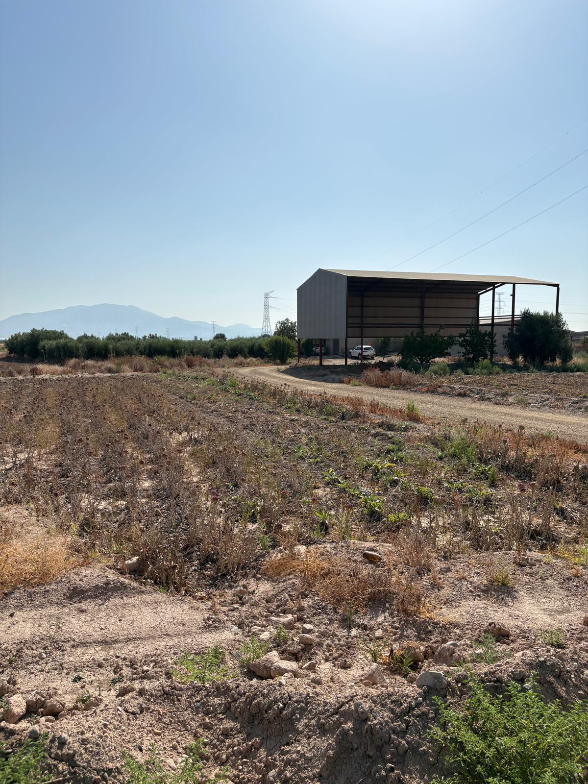 Venta Finca Rústica Polígono Industrial El Saladar