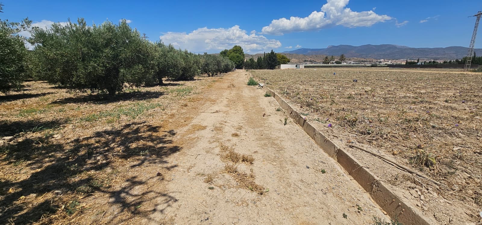 Venta Parcela Rústica de regadío en Las Suertes – Diseminado Lebor Bajo (Totana, Murcia) - imagen 11