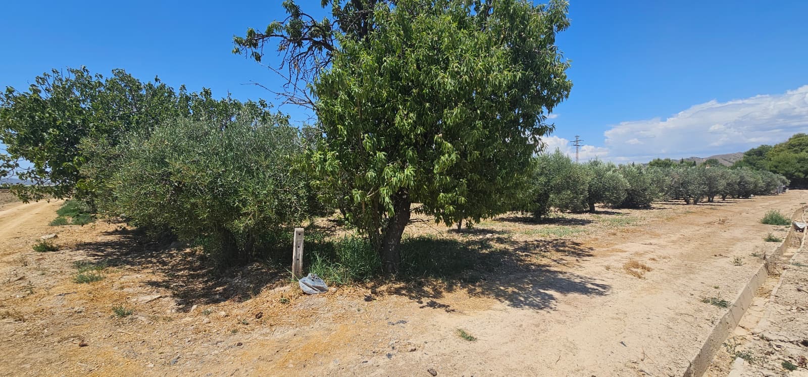 Venta Parcela Rústica de regadío en Las Suertes – Diseminado Lebor Bajo (Totana, Murcia) - imagen 10