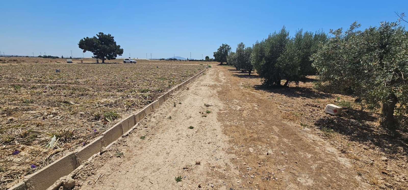 Venta Parcela Rústica de regadío en Las Suertes – Diseminado Lebor Bajo (Totana, Murcia) - imagen 3
