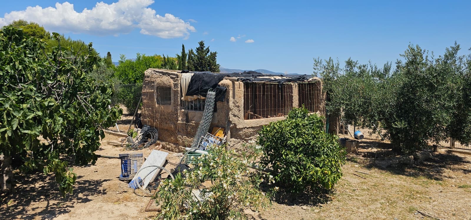 Venta Parcela Rústica de regadío en Las Suertes – Diseminado Lebor Bajo (Totana, Murcia) - imagen 2